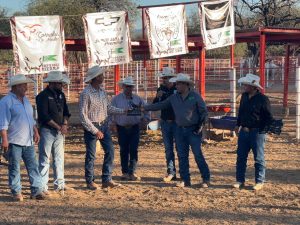 EXITOSO CONCURSO DE JUZGAMIENTO DE SEMENTALES EN LA EXPO SIERRA SAHUARIPA 2025
