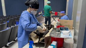 EXITOSA JORNADA DE ESTERILIZACIÓN EN SAHUARIPA